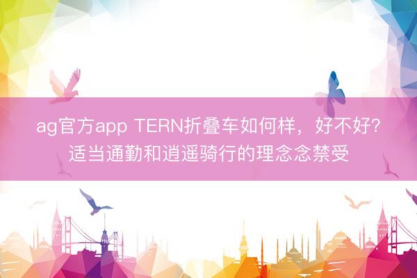 ag官方app TERN折疊車如何樣,好不好?適當(dāng)通勤和逍遙騎行的理念念禁受