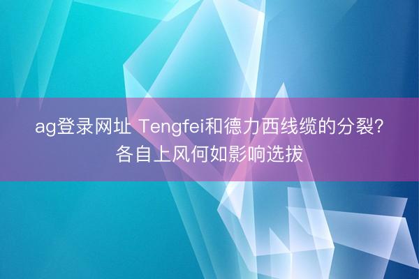 ag登錄網(wǎng)址 Tengfei和德力西線纜的分裂?各自上風(fēng)何如影響選拔