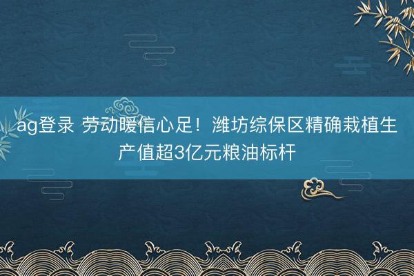 ag登錄 勞動暖信心足!濰坊綜保區精確栽植生產值超3億元糧油標桿