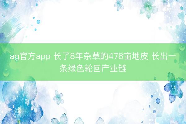 ag官方app 長了8年雜草的478畝地皮 長出一條綠色輪回產業(yè)鏈